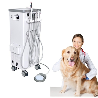 Pet Tooth Treatment Machine Move At Will Vet Use Pet Dental Treatment Unit With Compressor