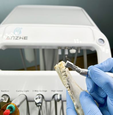 کارخانه دندانپزشکی تجهیزات دندان درمانی حیوانات خانگی با کمپرسور هوا 220 ولت واحد دندانپزشکی قابل حمل استاندارد اتحادیه اروپا