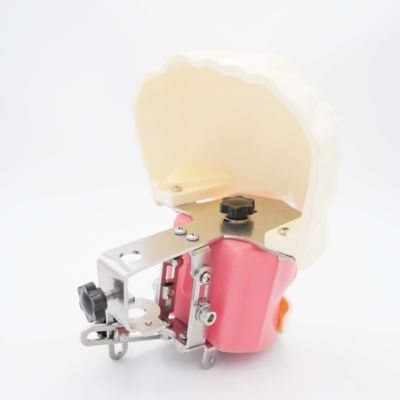 آموزش دندانپزشکی پیشرفته فانتوم سر دهان مدل مدرسه دندانپزشکی شبیه ساز آموزش دندانپزشکی