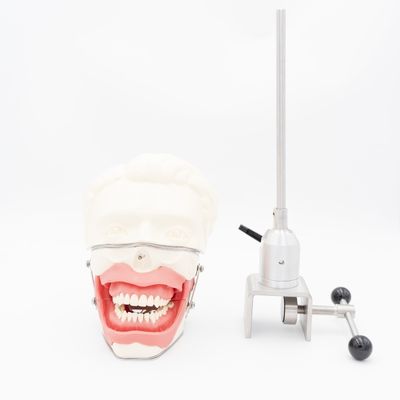 مدل استخراج بیهوشی دندانپزشکی مدل آموزش تزریق بیهوشی دانشکده دندانپزشکی شبیه ساز بیهوشی دهانی