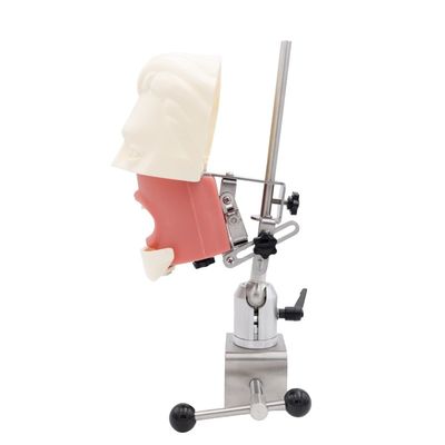 واحد آموزش شبیه ساز دندانپزشکی سیستم تمرین شبیه سازی مدرسه دندانپزشکی ایمپلنت دندان سر خیالی