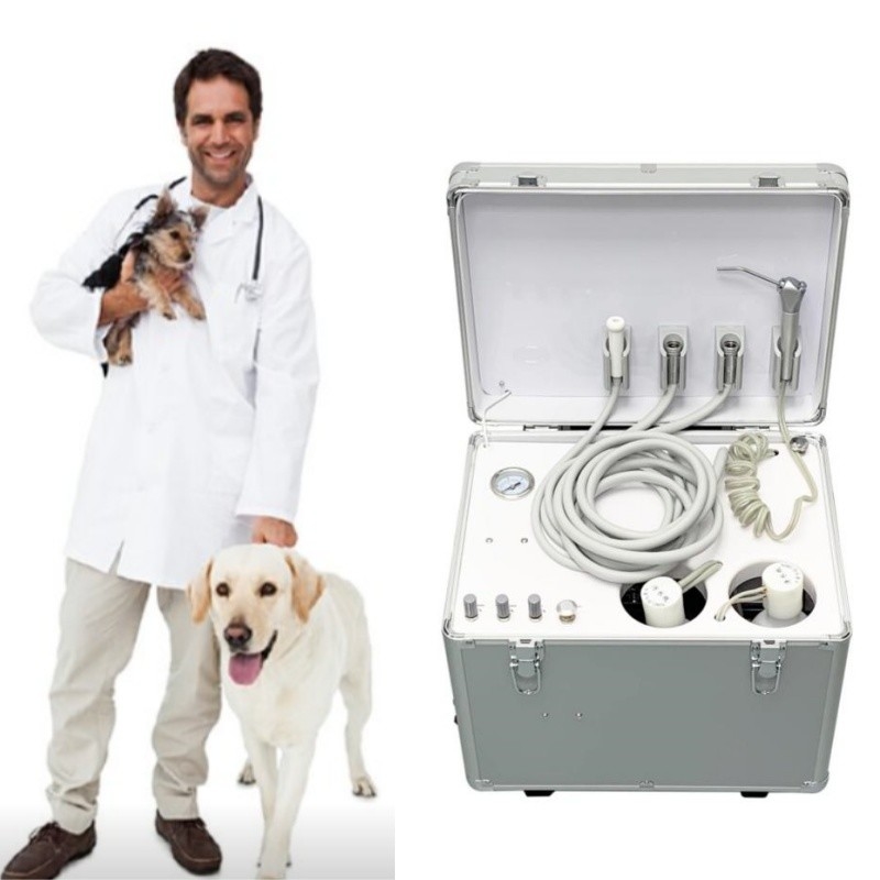 Vet Use Portable Dental Unit Luggage Style Pets Dental Treatment Machine With Air Compressor
