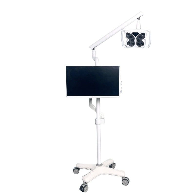 4 چرخ های جهانی سیستم سفید کننده دندان های سبک سرد شکل پروانه تجهیزات سفید کننده دندان