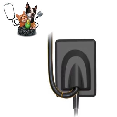 قیمت خوب تجهیزات دندانپزشکی دامپزشکی سیستم تصویربرداری اشعه ایکس دیجیتال دندان حیوانات خانگی سنسور اشعه ایکس RVG آنلاین