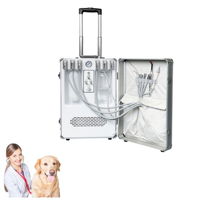 لوازم دستی دندانپزشکی حیوانات خانگی درمان دندان چمدان مراقبت از دندان حیوانات لوازم دستی دندانپزشکی