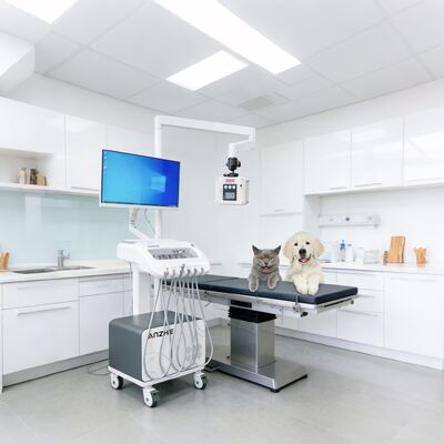 قیمت خوب واحد درمانی دندانپزشکی پرتابل با اشعه ایکس داخلی و کامپیوتر، ترولی دندانپزشکی متحرک با کمپرسور هوا، واحد تحویل دندانپزشکی با سیستم مکش برای استفاده در کلینیک و خارج از مرکز آنلاین