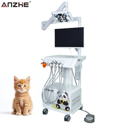 Veterinary Dental Treatment Unit All-in-One System with HD Intraoral Camera LED Butterfly Lamp and Windows Control System for Animal Hospitals
