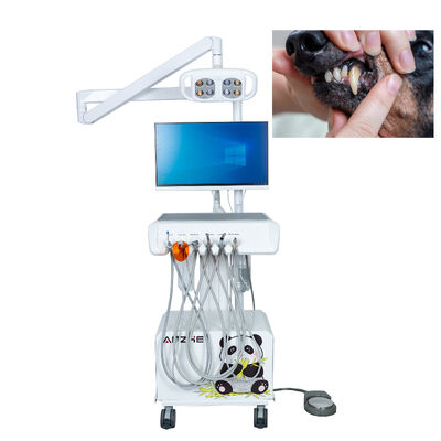 ایستگاه کاری دندانپزشکی دامپزشکی با دوربین داخل دهان HD نور معاینه LED و سیستم کامپیوتری داخلی برای بیمارستان های حیوانات