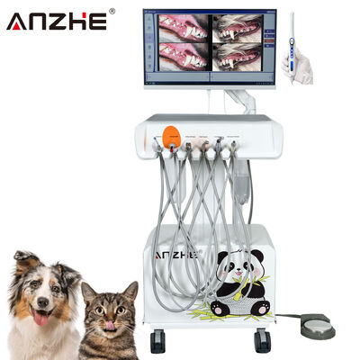 قیمت خوب واحد دندانپزشکی دامپزشکی قابل حمل مستقیم کارخانه با دوربین زبان HD و صفحه لمسی 23.8 اینچی همه در یک کامپیوتر ساخته شده در کمپرسور هوا Scaler روشنگری برای کلینیک دندانپزشکی حیوانات آنلاین