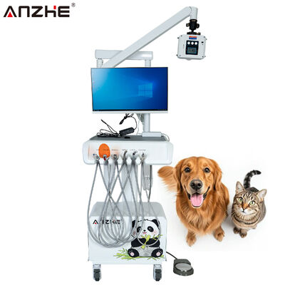 قیمت خوب ایستگاه کاری دندانپزشکی دامپزشکی با سنسور دیجیتال اشعه ایکس HD دوربین شفاهی همه در یک کامپیوتر واحد درمان دندان حیوانات خانگی برای کلینیک های حیوانات آنلاین