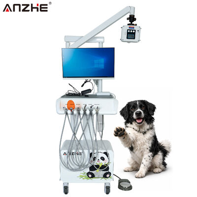 قیمت خوب ایستگاه کاری دندانپزشکی دامپزشکی یکپارچه با سنسور اشعه ایکس دیجیتال، دوربین دهان HD و کامپیوتر All-in-One آنلاین